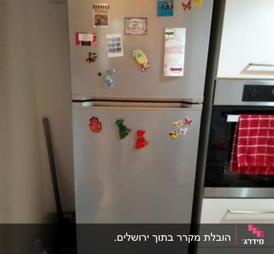 מקרר עם מגנטים צבעוניים ודלתות מתכת